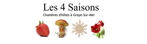 logo 4 saisons gray sur mer